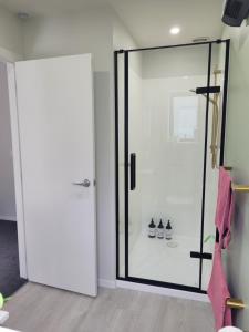 a bathroom with a glass shower door with three shoes at Clearwater Private Guest Suite in Dunedin