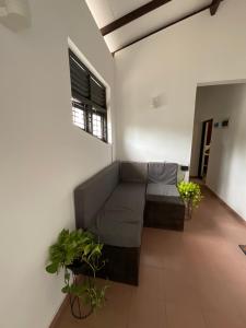 a living room with a couch and some plants at Hiricurry,Rooms Hostel & Restaurant in Dickwella