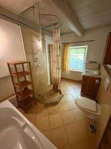 a bathroom with a shower and a toilet and a tub at Apartmány Villa Magnolie in Lipova Lazne +51 photos