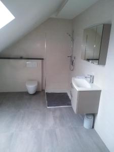 a bathroom with a sink and a toilet at Ferienwohnung Lang in Nittenau +17 photos