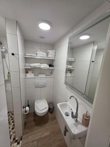 a bathroom with a toilet and a sink and a mirror at Maimühle Appartements in Perl