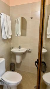a bathroom with a toilet and a sink and a mirror at Hotel Veronika Devin in Devin +33 photos