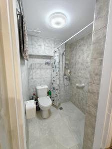 a bathroom with a toilet and a shower at evaxila papaflessa 机场附近 in Glyka Nera +9 photos