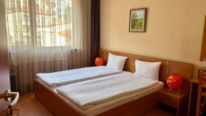 a small bed in a room with a window at Hotel Veronika Devin in Devin