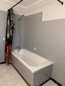 a white tub in a bathroom with a shower at ZV38-Alter Weg-OG in Salzgitter +13 photos