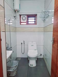 a bathroom with a toilet and a sink and a window at Tender leaf inn in Koroth