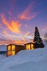 a house in the snow with a christmas tree at Gudauri Deka Alpine Cottages in Gudauri