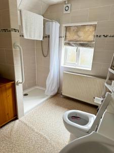 a bathroom with a toilet and a shower at Goosemoor Cottage in Longdon +7 photos