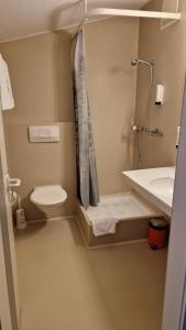 a small bathroom with a toilet and a sink at NRAR Hotel Hirschen in Beromünster +27 photos