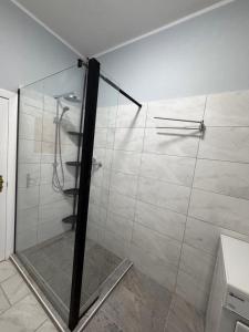 a shower with a glass door in a bathroom at Frisch sanierte Ferienwohnung in Grabow in Grabow +10 photos