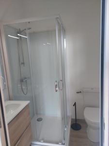 a bathroom with a shower and a toilet at La Tour de Vesly in Belval +7 photos