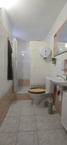 a bathroom with a toilet and a sink and a shower at Villa MarViK in Lučenec +16 photos