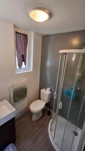 a bathroom with a shower and a toilet and a sink at Résidence L'IDEALE in La Roche-Posay +23 photos