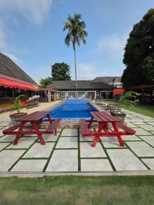 ein Pool mit zwei Picknicktischen und einer Palme in der Unterkunft Brava Hotel in Ibadan