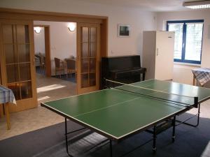 a ping pong table in a room with a ping pong ball at U Konupy in Ober Lindewiese +12 photos