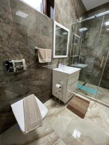 a bathroom with a shower and a toilet and a sink at Emanuela Apartments in Pecica Veche +13 photos