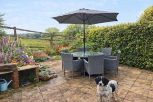a dog standing next to a table with an umbrella at Coombe Corner Cornwall in Bude