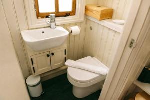 a small bathroom with a sink and a toilet at Morndyke Shepherds Huts in Thirsk