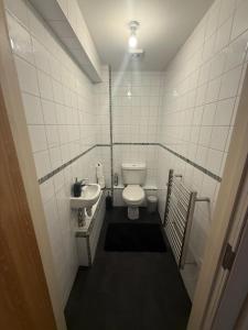 a small bathroom with a toilet and a sink at Comfort Arena in Colchester +22 photos