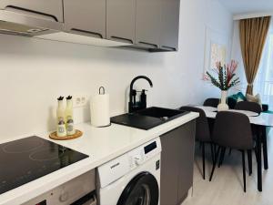 a kitchen with a sink and a dishwasher at Adam Residence in Oradea