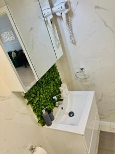 a bathroom with a sink with a plant on it at Adam Residence in Oradea +43 photos