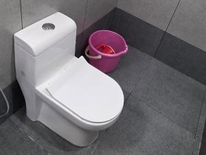 a white toilet in a bathroom with a bucket at Crystal Homestay in Trivandrum +31 photos