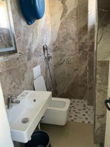 a bathroom with a toilet and a sink and a shower at Albi12 in Durrës