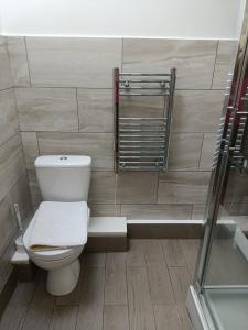 a bathroom with a toilet and a shower at 477 California Sands Chalets in Scratby +6 photos