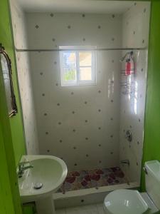 a bathroom with a sink and a shower at Reggae Moon Guesthouse in Falmouth