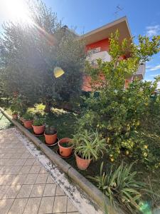 a row of potted plants in a garden at Sun Beach in San Benedetto del Tronto