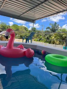 a pool with a red inflatable swan in the water at สมหวัง โฮมสเตย์ in Ban Khuan Suan +11 photos