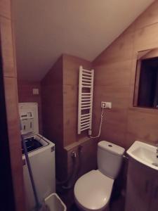 a small bathroom with a toilet and a sink at Chmurka in Bęczków