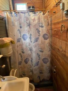 a bathroom with a shower curtain with fish on it at Las calandrias in Barrio Copacabana +43 photos