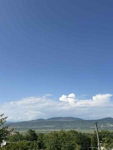 a view of a field with mountains in the distance at Nebi Winery in Chʼardakhi