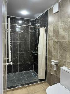 a bathroom with a black tiled shower and a toilet at Nebi Winery in Chʼardakhi