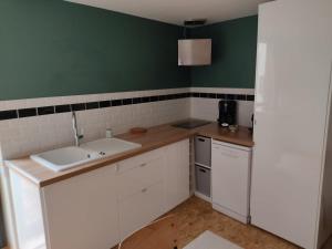a kitchen with a white sink and a green wall at Appartement meublé, Le 37bis in Bolbec