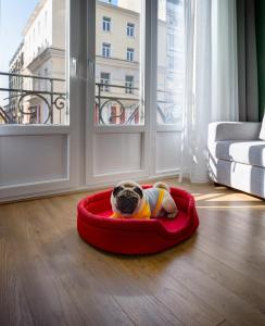a pug dog laying in a red bed in a room at Colors Urban Hotel Thessaloniki in Thessaloniki