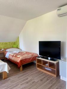 a bedroom with a bed and a flat screen tv at Adriana Guesthouse in Jezerce