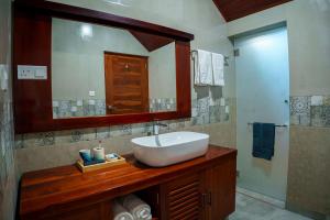 a bathroom with a sink and a mirror at Centri Villa in Anuradhapura