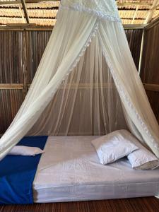 a bed with a mosquito net in a room at Ina Homestay in Mios Besar