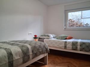 two beds in a room with a window at Apartment Andreja Bled in Bled