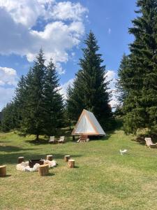 a tent and chairs in a field with trees at Durmitor glamping in Žabljak