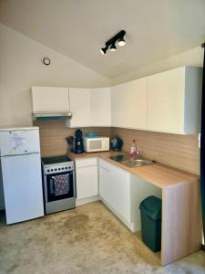 a kitchen with a white refrigerator and a sink at Grand studio avec terrasse in Saint-Marcel-lès-Valence