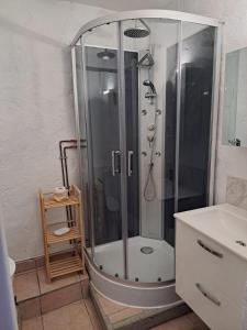 a shower with a glass door in a bathroom at Logis du Bourg in Puy-lʼÉvêque