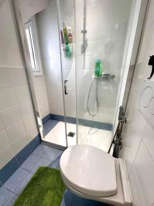 a bathroom with a shower with a toilet and a sink at Da Ersilia in Cernobbio +19 photos