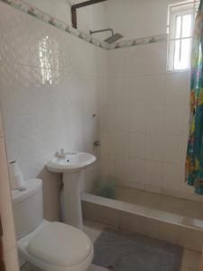 a bathroom with a toilet and a sink and a tub at Dizzy Lizzies Beach House Resort in Kokrobite +14 photos