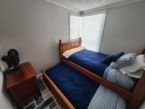 a bedroom with a bed with a blue comforter and a window at Less is Moore in Thompsonville