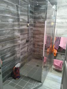 a shower with a glass door in a bathroom at Moulin Barrat in Le Veurdre