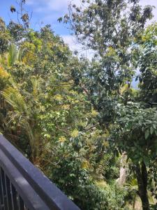a tree that is leaning against a fence at Charlotte Inn in Kandy