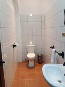a bathroom with a toilet and a sink at Bardo INN Hotel in Granada